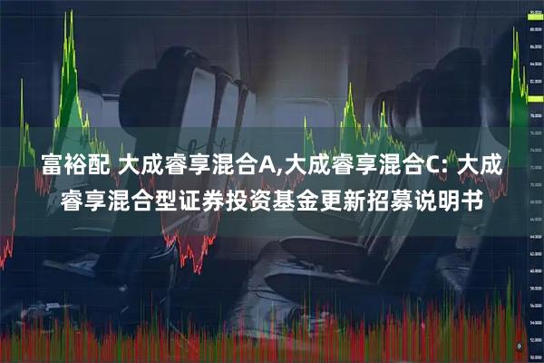 富裕配 大成睿享混合A,大成睿享混合C: 大成睿享混合型证券投资基金更新招募说明书