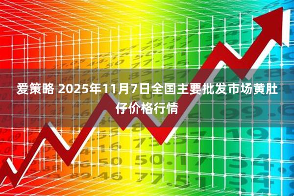 爱策略 2025年11月7日全国主要批发市场黄肚仔价格行情
