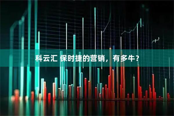 科云汇 保时捷的营销，有多牛？